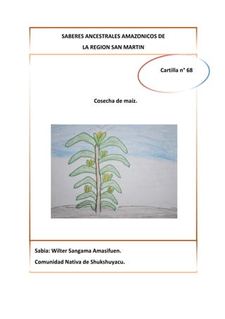 SABERES ANCESTRALES AMAZONICOS DE
LA REGION SAN MARTIN
Sabia: Wilter Sangama Amasifuen.
Comunidad Nativa de Shukshuyacu.
Cartilla n° 68
Cosecha de maíz.
 