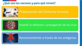 Preparación del Sistema Inmune
Impedir la adhesión y propagación de los virus
Reconocimiento a través de los antígenos
 