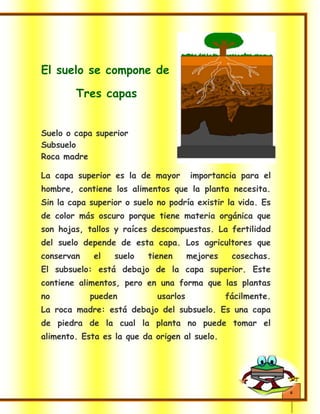 6
El suelo se compone de
Tres capas
Suelo o capa superior
Subsuelo
Roca madre
La capa superior es la de mayor importancia para el
hombre, contiene los alimentos que la planta necesita.
Sin la capa superior o suelo no podría existir la vida. Es
de color más oscuro porque tiene materia orgánica que
son hojas, tallos y raíces descompuestas. La fertilidad
del suelo depende de esta capa. Los agricultores que
conservan el suelo tienen mejores cosechas.
El subsuelo: está debajo de la capa superior. Este
contiene alimentos, pero en una forma que las plantas
no pueden usarlos fácilmente.
La roca madre: está debajo del subsuelo. Es una capa
de piedra de la cual la planta no puede tomar el
alimento. Esta es la que da origen al suelo.
 