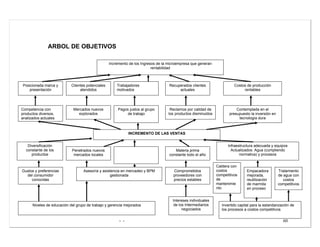 - - 60
ARBOL DE OBJETIVOS
Incremento de los Ingresos de la microempresa que generan
rentabilidad
Posicionada marca y
presentación
Clientes potenciales
atendidos
Trabajadores
motivados
Costos de producción
rentables
Recuperados clientes
actuales
Competencia con
productos diversos,
analizados actuales
Mercados nuevos
explorados
Pagos justos al grupo
de trabajo
Reclamos por calidad de
los productos disminuidos
Contemplada en el
presupuesto la inversión en
tecnología dura
INCREMENTO DE LAS VENTAS
Diversificación
constante de los
productos
Penetrados nuevos
mercados locales
Materia prima
constante todo el año
Infraestructura adecuada y equipos
Actualizados: Agua (cumpliendo
normativa) y procesos
Gustos y preferencias
del consumidor
conocidas
Asesoría y asistencia en mercadeo y BPM
gestionada
Comprometidos
proveedores con
precios estables
Caldera con
costos
competitivos
de
mantenimie
nto
Niveles de educación del grupo de trabajo y gerencia mejorados
Intereses individuales
de los Intermediarios
negociados
Invertido capital para la estandarización de
los procesos a costos competitivos
Empacadora
mejorada,
reutilización
de marmita
en proceso
Tratamiento
de agua con
costos
competitivos
 
