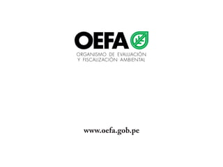www.oefa.gob.pe

 