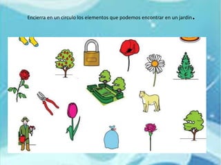 Encierra en un circulo los elementos que podemos encontrar en un jardín.
 