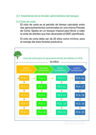 Elaborado por Ing. Forestal
Hugo Fredy Tueros Zevallos
PRIMER
QUINQUENIO
SEGUNDO
QUINQUENIO
TERCER
QUINQUENIO
CUARTO
QUINQUENIO
PCA 1
PCA 2
PCA 3
PCA 4
PCA 5
PCA 6
PCA 7
PCA 8
PCA 9
PCA 10
PCA 11
PCA 12
PCA 13
PCA 14
PCA 15
PCA 16
PCA 17
PCA 18
PCA 19
PCA 20
3.2 Importancia de la división administrativa del bosque
3.3 Ciclo de corta
El ciclo de corta es el periodo de tiempo calculado entre
dos aprovechamientos comerciales en una misma Parcela
de Corta, fijados en un bosque tropical para llevar a cabo
la corta de árboles que han alcanzado el DMC planificado.
El ciclo de corta debe ser de 20 años como mínimo, para
el manejo del área forestal productiva.
Ciclo de corta para el aprovechamiento de árboles en PCA
20 AÑOS
 