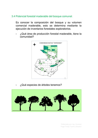 Elaborado por Ing. Forestal
Hugo Fredy Tueros Zevallos
3.4 Potencial forestal maderable del bosque comunal.
Es conocer la composición del bosque y su volumen
comercial maderable, esto se determina mediante la
ejecución de inventarios forestales exploratorios.
- ¿Qué área de producción forestal maderable, tiene la
comunidad?
- ¿Qué especies de árboles tenemos?
 