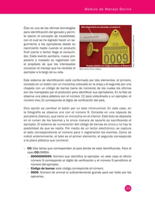 23
Módulo de Manejo Bovino
Ésta es una de las últimas tecnologías
para identificación del ganado y permi-
te operar el concepto de trazabilidad,
con el cual se ha logrado hacer un se-
guimiento a los ejemplares desde su
nacimiento hasta cuando el producto
final (carne o leche) llega al consumi-
dor. Cada evento sanitario, nuevo pro-
pietario o traslado es registrado con
el propósito de que los interesados
conozcan el manejo que ha recibido el
ejemplar a lo largo de su vida.
Bolo intraruminal y orejera.
Fotos:JuanFernandoCardona,Fedegán-fng.
Bolo intrarumiral con microchip y el número 9
Chapeta plástica con código de barras y el número 9
Este sistema de identificación está conformado por dos elementos: el primero,
consiste en un botón con un microchip colocado en la oreja y el segundo por una
chapeta con un código de barras (serie de números) de los cuales los últimos
son los manejados por el productor para identificar sus ejemplares. En la foto se
observa una placa plástica con el número 12 para colocársela a un ejemplar, el
número tres (3) corresponde al dígito de verificación del país.
Otra opción es cambiar el botón por un bolo intraruminal. En este caso, en
la fotografía se observa uno con el número 9. Consiste en una cápsula de
porcelana (blanca), que tiene un microchip en el interior. Este bolo se deposita
en el rumen de los bovinos y la única manera de sacarlo es sacrificando el
ejemplar. El sistema de numeración del código de barras es único y no hay la
posibilidad de que se repita. Por medio de un lector electrónico, se captura
el dato correspondiente al número para ir registrando los eventos. Como se
indicó anteriormente, el bolo es el primer elemento, el segundo corresponde
a la placa plástica que contiene:
•	 CO: Dos letras que corresponden al país donde se está identificando. Para el
caso COLOMBIA.
−− 00000000099: Número que identifica al ejemplar, en este caso el último
número 9 corresponde al dígito de verificación y el número 9 penúltimo al
número del ejemplar.
−− Código de barras: este código corresponde al número.
−− 0009: Número de animal lo suficientemente grande para ser leído por los
operarios.
 