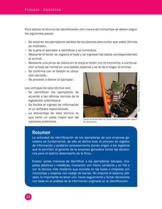 24
Fedegán - Asistegán
Para aplicar la técnica de identificación con marca de microchips se deben seguir
los siguientes pasos:
•	 Se separan los ejemplares adultos de los jóvenes para evitar que estos últimos
se maltraten.
•	 Se sujeta el ejemplar a identificar y se inmoviliza.
•	 Mediante el lector se registra el bolo y se ingresan los datos correspondientes
al animal.
•	 Mediante una pinza se coloca en la oreja el botón con el microchip, a continua-
ción el bolo se monta en una pistola especial y se le da a tragar al animal.
Equipo de lectura para microchip (bastón y equipo para registro
de información).
Foto:JuanRafaelRestrepo,Fedegán-fng.
•	 Se confirma con el bastón la ubica-
ción del bolo.
•	 Se procede a liberar al ejemplar.
Las ventajas de esta técnica son:
•	 Se identifican los ejemplares de
acuerdo a las últimas normas de la
legislación colombiana.
•	 Se facilita el ingreso de información
al un software especializado.
•	 La desventaja de esta técnica es
que tiene un costo mayor que las
opciones anteriores.
Resumen
La actividad de identificación de los ejemplares de una empresa ga-
nadera es fundamental, de ella se deriva todo el proceso de registro
de información y posterior procesamiento dando origen a los registros
que le permiten al gerente de la empresa ganadera tomar las decisio-
nes para el óptimo desempeño de la finca.
Existen varias maneras de identificar a los ejemplares: tatuajes, cha-
petas plásticas y metálicas, marcación con hierro candente y en frío o
con la técnica más moderna que consiste en los bolos o chapetas con
microchips y orejeras con codigo de barras. No importa el sistema utili-
zado, lo importante es tener uno, hacer seguimiento y tomar decisiones
con base en el análisis de la información originada en la identificación.
 