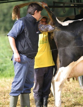 Foto:Archivo,Fedegán-fng.
 