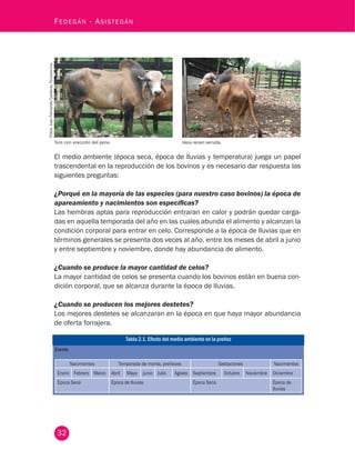 32
Fedegán - Asistegán
El medio ambiente (época seca, época de lluvias y temperatura) juega un papel
trascendental en la reproducción de los bovinos y es necesario dar respuesta las
siguientes preguntas:
¿Porqué en la mayoría de las especies (para nuestro caso bovinos) la época de
apareamiento y nacimientos son específicas?
Las hembras aptas para reproducción entraran en calor y podrán quedar carga-
das en aquella temporada del año en las cuales abunda el alimento y alcanzan la
condición corporal para entrar en celo. Corresponde a la época de lluvias que en
términos generales se presenta dos veces al año, entre los meses de abril a junio
y entre septiembre y noviembre, donde hay abundancia de alimento.
¿Cuando se produce la mayor cantidad de celos?
La mayor cantidad de celos se presenta cuando los bovinos están en buena con-
dición corporal, que se alcanza durante la época de lluvias.
¿Cuando se producen los mejores destetes?
Los mejores destetes se alcanzaran en la época en que haya mayor abundancia
de oferta forrajera.
Toro con erección del pene. Vaca recien servida.
Fotos:JuanFernandoCardona,Fedegán-fng.
Tabla 2.1. Efecto del medio ambiente en la preñez
Evento
Nacimientos Temporada de monta, preñeces Gestaciones Nacimientos
Enero Febrero Marzo Abril Mayo junio Julio Agosto Septiembre Octubre Noviembre Diciembre
Época Seca Época de lluvias Época Seca Época de
lluvias
 