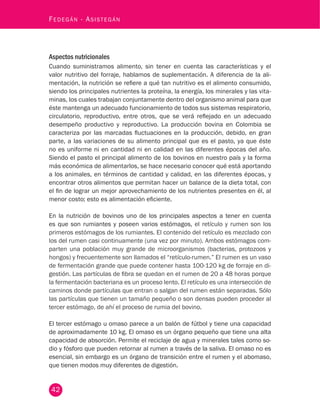42
Fedegán - Asistegán
Aspectos nutricionales
Cuando suministramos alimento, sin tener en cuenta las características y el
valor nutritivo del forraje, hablamos de suplementación. A diferencia de la ali-
mentación, la nutrición se refiere a qué tan nutritivo es el alimento consumido,
siendo los principales nutrientes la proteína, la energía, los minerales y las vita-
minas, los cuales trabajan conjuntamente dentro del organismo animal para que
éste mantenga un adecuado funcionamiento de todos sus sistemas respiratorio,
circulatorio, reproductivo, entre otros, que se verá reflejado en un adecuado
desempeño productivo y reproductivo. La producción bovina en Colombia se
caracteriza por las marcadas fluctuaciones en la producción, debido, en gran
parte, a las variaciones de su alimento principal que es el pasto, ya que éste
no es uniforme ni en cantidad ni en calidad en las diferentes épocas del año.
Siendo el pasto el principal alimento de los bovinos en nuestro país y la forma
más económica de alimentarlos, se hace necesario conocer qué está aportando
a los animales, en términos de cantidad y calidad, en las diferentes épocas, y
encontrar otros alimentos que permitan hacer un balance de la dieta total, con
el fin de lograr un mejor aprovechamiento de los nutrientes presentes en él, al
menor costo; esto es alimentación eficiente.
En la nutrición de bovinos uno de los principales aspectos a tener en cuenta
es que son rumiantes y poseen varios estómagos, el retículo y rumen son los
primeros estómagos de los rumiantes. El contenido del retículo es mezclado con
los del rumen casi continuamente (una vez por minuto). Ambos estómagos com-
parten una población muy grande de microorganismos (bacterias, protozoos y
hongos) y frecuentemente son llamados el “retículo-rumen.” El rumen es un vaso
de fermentación grande que puede contener hasta 100-120 kg de forraje en di-
gestión. Las partículas de fibra se quedan en el rumen de 20 a 48 horas porque
la fermentación bacteriana es un proceso lento. El retículo es una intersección de
caminos donde partículas que entran o salgan del rumen están separadas. Sólo
las partículas que tienen un tamaño pequeño o son densas pueden proceder al
tercer estómago, de ahí el proceso de rumia del bovino.
El tercer estómago u omaso parece a un balón de fútbol y tiene una capacidad
de aproximadamente 10 kg. El omaso es un órgano pequeño que tiene una alta
capacidad de absorción. Permite el reciclaje de agua y minerales tales como so-
dio y fósforo que pueden retornar al rumen a través de la saliva. El omaso no es
esencial, sin embargo es un órgano de transición entre el rumen y el abomaso,
que tienen modos muy diferentes de digestión.
 