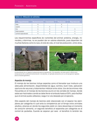 44
Fedegán - Asistegán
Tabla 2.2. Utilización de nutrientes
Requerimiento Mantenimiento Crecimiento Producción Reproducción
Ceba X X
Levante X X X
Cría X X X
Doble propósito X X X X
Lechería especializada X X X X
Los requerimientos específicos de nutrientes del animal: proteína, energía, mi-
nerales y vitaminas, no se pueden dar en valores absolutos, pues dependen de
muchos factores como la raza, el ciclo de vida, el nivel de producción, entre otros.
Aspectos de manejo
El manejo de los bovinos incluye aspectos como el bienestar que involucra una
adecuada alimentación, disponibilidad de agua, sombra, buen trato, aplicación
oportuna de vacunas y tratamientos médicos entre otros. Uno de los errores más
frecuentes en el manejo de los bovinos ocurre en los corrales de manejo, donde
estos son hacinados cuando se debe llenar el embudo hasta el 50%, para facilitar
que el animal pueda voltearse y seguir la ruta deseada por el operario.
Otro aspecto del manejo de bovinos está relacionado con el separar los ejem-
plares por categorías lo cual evita la competencia por el forraje entre animales
adultos y jóvenes en donde los segundos están en clara desventaja al momento
de consumir alimento, un segundo beneficio al separarlos por categorías es el
control de parásitos. Cuando se separan por sexo el beneficio lo tendrán las
La alimentación es un aspecto fundamental para la reproducción. A la izquierda, una vaca vacía e infértil como
consecuencia de su deficiente alimentación; a la derecha, un ejemplar productivo con su cría que genera ingresos
para la empresa ganadera.
Fotos:AtilioOviedoAsistegánAriguaníy
CesarGarcíaFedegán-fng.
 