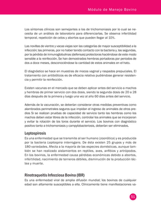 51
Módulo de Manejo Bovino
Los síntomas clínicos son semejantes a los de trichomoniasis por lo cual se ne-
cesita de un análisis de laboratorio para diferenciarlas. Se observa infertilidad
temporal, repetición de celos y abortos que pueden llegar al 10%.
Las novillas de vientre y vacas viejas son las categorías de mayor susceptibilidad a la
infección; las primeras, por no haber tenido contacto con la bacteria y, las segundas,
por la pérdida de inmunoglobulinas (defensas) protectoras haciéndose de este modo
sensible a la reinfección. Se han demostrados hembras portadoras por periodos de
dos a doce meses, desconociéndose la cantidad de estos animales en el hato.
El diagnóstico se hace en muestras de mocos vaginal y raspados prepuciales. El
tratamiento con antibióticos es de eficacia relativa pudiéndose generar resisten-
cia y permitir la reinfección.
Existen vacunas en el mercado que se deben aplicar antes del servicio a machos
y hembras de primer servicio con dos dosis, siendo la segunda dosis de 20 a 28
días después de la primera y luego una vez al año 60 días antes del servicio.
Además de la vacunación, se deberían considerar otras medidas preventivas como
alambrados perimetrales seguros que impidan el ingreso de animales de otros pre-
dios Si se realizan pruebas de capacidad de servicio tanto las hembras como los
machos deben estar libres de la infección, controlar los animales que se incorporan
y evitar la rotación de los toros durante el servicio. Los bovinos con diagnóstico
positivo tanto a trichomoniasis y campylobacteriosis, deberían ser eliminados.
Leptospirosis
Es una enfermedad que se transmite al ser humano (zoonótica) y es producida
por la bacteria Leptospira interrogans. De ésta existen 25 grupos y más de
180 variedades. Afecta a la mayoría de las especies domésticas, aunque tam-
bién se han realizado aislamientos en reptiles, aves, anfibios y artrópodos.
En los bovinos, la enfermedad causa pérdidas económicas debido a abortos,
infertilidad, nacimiento de terneros débiles, disminución de la producción lác-
tea y muerte.
Rinotraqueitis Infecciosa Bovina (IBR)
Es una enfermedad viral de amplia difusión mundial; los bovinos de cualquier
edad son altamente susceptibles a ella. Clínicamente tiene manifestaciones va-
 