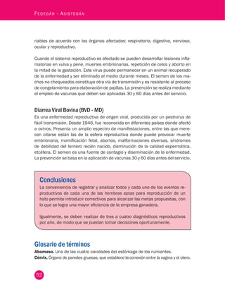 52
Fedegán - Asistegán
riables de acuerdo con los órganos afectados: respiratorio, digestivo, nervioso,
ocular y reproductivo.
Cuando el sistema reproductivo es afectado se pueden desarrollar lesiones infla-
matorias en vulva y pene, muertes embrionarias, repetición de celos y aborto en
la mitad de la gestación. Este virus puede permanecer en un animal recuperado
de la enfermedad y ser eliminado al medio durante meses. El semen de los ma-
chos no chequeados constituye otra vía de transmisión y es resistente al proceso
de congelamiento para elaboración de pajillas. La prevención se realiza mediante
el empleo de vacunas que deben ser aplicadas 30 y 60 días antes del servicio.
Diarrea Viral Bovina (BVD - MD)
Es una enfermedad reproductiva de origen viral, producida por un pestivirus de
fácil transmisión. Desde 1946, fue reconocida en diferentes países donde afectó
a ovinos. Presenta un amplio espectro de manifestaciones, entre las que mere-
cen citarse están las de la esfera reproductiva donde puede provocar muerte
embrionaria, momificación fetal, abortos, malformaciones diversas, síndromes
de debilidad del ternero recién nacido, disminución de la calidad espermática,
etcétera. El semen es una fuente de contagio y diseminación de la enfermedad.
La prevención se basa en la aplicación de vacunas 30 y 60 días antes del servicio.
Conclusiones
La conveniencia de registrar y analizar todos y cada uno de los eventos re-
productivos de cada una de las hembras aptas para reproducción de un
hato permite introducir correctivos para alcanzar las metas propuestas, con
lo que se logra una mayor eficiencia de la empresa ganadera.
Igualmente, se deben realizar de tres a cuatro diagnósticos reproductivos
por año, de modo que se puedan tomar decisiones oportunamente.
Glosario de términos
Abomaso. Una de las cuatro cavidades del estómago de los rumiantes.
Cérvix. Órgano de paredes gruesas, que establece la conexión entre la vagina y el útero.
 