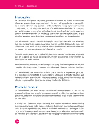 56
Fedegán - Asistegán
Introducción
En Colombia, muy pocas empresas ganaderas disponen del forraje durante todo
el año ya sea mediante riego, suministro de heno, silo o cualquier presentación
de conservación de forraje que les permita mantener a sus ejemplares en buenas
condiciones, lo cual afecta la fertilidad. En condiciones normales, el consumo
de nutrientes por el animal es utilizado primero para la sobrevivencia; segundo,
para el mantenimiento de un becerro; y, por último, para la reproducción, lo que
significa que para lograr la tercera es necesario satisfacer las dos primeras.
Las novillas con buenas reservas de energía, inician su pubertad o vida reproduc-
tiva más temprano, se cargan más rápido que las novillas delgadas. En toros con
pobre nivel nutricional, la capacidad de monta es deficiente, la calidad del semen
es menor y en animales jóvenes la pubertad se retarda.
Durante la época seca, es notorio cómo las vacas pierden mucho peso, mientras
que en la época de lluvias se recuperan, inician gestaciones o incrementan su
producción de leche y carne.
Este desbalance produce problemas reproductivos y mermas importantes en pro-
ducción, e incluso pueden ocasionar retenciones de placenta y ovarios inactivos.
La condición corporal es una herramienta que le permite al empresario ganadero
o al técnico definir el estado de los ejemplares y le ayuda a detectar aquellos que
necesitan mayor atención para mejorar el estado físico y, como consecuencia de
ella, su reproducción y ganancia de peso o producción de leche.
Condición corporal
La condición corporal es un sistema de calificación que se refiere a la cantidad de
grasa subcutánea bajo la piel o reservas de energía en el bovino, que le permite al
ganadero, al técnico o al profesional calificar el estado físico en que se encuentra
un ejemplar.
A lo largo del ciclo anual de producción y reproducción de la vaca, la demanda y
suministro de energía debe estar en balance. Durante un momento específico del
ciclo, el balance puede variar y mostrar un exceso o deficiencia de energía. Cuan-
do el suministro de energía es mayor que la demanda, el exceso es almacenado
en forma de grasa corporal. Este banco de energía puede ser consumido durante
 