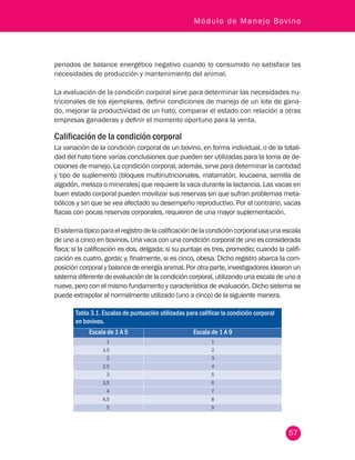 57
Módulo de Manejo Bovino
periodos de balance energético negativo cuando lo consumido no satisface las
necesidades de producción y mantenimiento del animal.
La evaluación de la condición corporal sirve para determinar las necesidades nu-
tricionales de los ejemplares, definir condiciones de manejo de un lote de gana-
do, mejorar la productividad de un hato, comparar el estado con relación a otras
empresas ganaderas y definir el momento oportuno para la venta.
Calificación de la condición corporal
La variación de la condición corporal de un bovino, en forma individual, o de la totali-
dad del hato tiene varias conclusiones que pueden ser utilizadas para la toma de de-
cisiones de manejo. La condición corporal, además, sirve para determinar la cantidad
y tipo de suplemento (bloques multinutricionales, matarratón, leucaena, semilla de
algodón, melaza o minerales) que requiere la vaca durante la lactancia. Las vacas en
buen estado corporal pueden movilizar sus reservas sin que sufran problemas meta-
bólicos y sin que se vea afectado su desempeño reproductivo. Por el contrario, vacas
flacas con pocas reservas corporales, requieren de una mayor suplementación.
Elsistematípicoparaelregistrodelacalificacióndelacondicióncorporalusaunaescala
de uno a cinco en bovinos. Una vaca con una condición corporal de uno es considerada
flaca; si la calificación es dos, delgada; si su puntaje es tres, promedio; cuando la califi-
cación es cuatro, gorda; y, finalmente, si es cinco, obesa. Dicho registro abarca la com-
posición corporal y balance de energía animal. Por otra parte, investigadores idearon un
sistema diferente de evaluación de la condición corporal, utilizando una escala de uno a
nueve, pero con el mismo fundamento y característica de evaluación. Dicho sistema se
puede extrapolar al normalmente utilizado (uno a cinco) de la siguiente manera.
Tabla 3.1. Escalas de puntuación utilizadas para calificar la condición corporal
en bovinos.
Escala de 1 A 5 Escala de 1 A 9
1 1
1,5 2
2 3
2,5 4
3 5
3,5 6
4 7
4,5 8
5 9
 