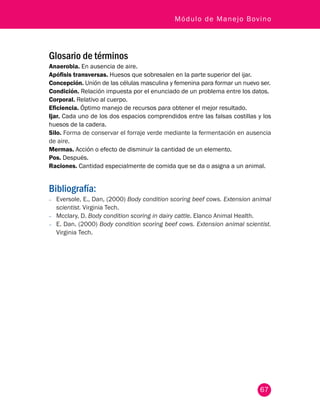 67
Módulo de Manejo Bovino
Glosario de términos
Anaerobia. En ausencia de aire.
Apófisis transversas. Huesos que sobresalen en la parte superior del ijar.
Concepción. Unión de las células masculina y femenina para formar un nuevo ser.
Condición. Relación impuesta por el enunciado de un problema entre los datos.
Corporal. Relativo al cuerpo.
Eficiencia. Óptimo manejo de recursos para obtener el mejor resultado.
Ijar. Cada uno de los dos espacios comprendidos entre las falsas costillas y los
huesos de la cadera.
Silo. Forma de conservar el forraje verde mediante la fermentación en ausencia
de aire.
Mermas. Acción o efecto de disminuir la cantidad de un elemento.
Pos. Después.
Raciones. Cantidad especialmente de comida que se da o asigna a un animal.
Bibliografía:
−− Eversole, E., Dan, (2000) Body condition scoring beef cows. Extension animal
scientist. Virginia Tech.
−− Mcclary, D. Body condition scoring in dairy cattle. Elanco Animal Health.
−− E. Dan. (2000) Body condition scoring beef cows. Extension animal scientist.
Virginia Tech.
 