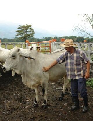 Foto:JuanFernandoCardona,Fedegán-fng.
 
