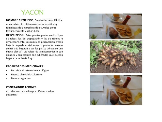 MANUAL DE BUEN USO DE PLANTAS MEDICINALES MANUAL DE BUEN USO DE PLANTAS MEDICINALES