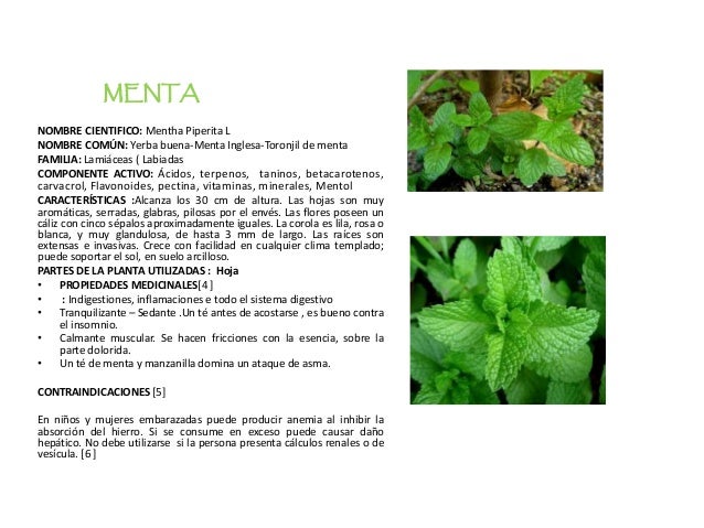 Manual De Buen Uso De Plantas Medicinales