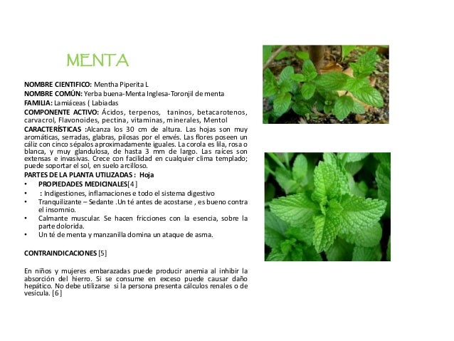 MANUAL DE BUEN USO DE PLANTAS MEDICINALES MANUAL DE BUEN USO DE PLANTAS MEDICINALES