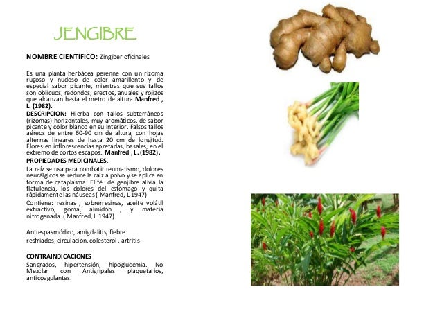 Manual De Buen Uso De Plantas Medicinales