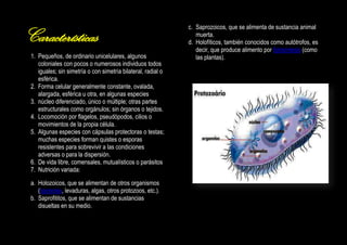 Características
1. Pequeños, de ordinario unicelulares, algunos
coloniales con pocos o numerosos individuos todos
iguales; sin simetría o con simetría bilateral, radial o
esférica.
2. Forma celular generalmente constante, ovalada,
alargada, esférica u otra, en algunas especies
3. núcleo diferenciado, único o múltiple; otras partes
estructurales como orgánulos; sin órganos o tejidos.
4. Locomoción por flagelos, pseudópodos, cilios o
movimientos de la propia célula.
5. Algunas especies con cápsulas protectoras o testas;
muchas especies forman quistes o esporas
resistentes para sobrevivir a las condiciones
adversas o para la dispersión.
6. De vida libre, comensales, mutualísticos o parásitos
7. Nutrición variada:
a. Holozoicos, que se alimentan de otros organismos
(bacterias, levaduras, algas, otros protozoos, etc.).
b. Saprofititos, que se alimentan de sustancias
disueltas en su medio.

c. Saprozoicos, que se alimenta de sustancia animal
muerta.
d. Holofíticos, también conocidos como autótrofos, es
decir, que produce alimento por fotosíntesis (como
las plantas).

 