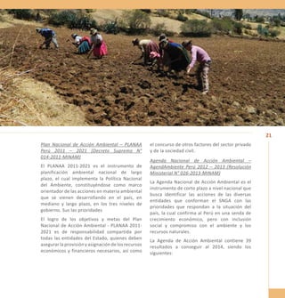 21 
Plan Nacional de Acción Ambiental – PLANAA 
Perú 2011 – 2021 (Decreto Supremo N° 
014-2011-MINAM) 
El PLANAA 2011-2021 es el instrumento de 
planificación ambiental nacional de largo 
plazo, el cual implementa la Política Nacional 
del Ambiente, constituyéndose como marco 
orientador de las acciones en materia ambiental 
que se vienen desarrollando en el país, en 
mediano y largo plazo, en los tres niveles de 
gobierno. Sus las prioridades 
El logro de los objetivos y metas del Plan 
Nacional de Acción Ambiental - PLANAA 2011- 
2021 es de responsabilidad compartida por 
todas las entidades del Estado, quienes deben 
asegurar la provisión y asignación de los recursos 
económicos y financieros necesarios, así como 
el concurso de otros factores del sector privado 
y de la sociedad civil. 
Agenda Nacional de Acción Ambiental – 
AgendAmbiente Perú 2012 – 2013 (Resolución 
Ministerial N° 026-2013-MINAM) 
La Agenda Nacional de Acción Ambiental es el 
instrumento de corto plazo a nivel nacional que 
busca identificar las acciones de las diversas 
entidades que conforman el SNGA con las 
prioridades que respondan a la situación del 
país, la cual confirma al Perú en una senda de 
crecimiento económico, pero con inclusión 
social y compromiso con el ambiente y los 
recursos naturales. 
La Agenda de Acción Ambiental contiene 39 
resultados a conseguir al 2014, siendo los 
siguientes: 
 