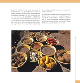35 
Desde el MINAM se ha estado apoyando el 
fortalecimiento y el desarrollo de los sistemas 
locales de gestión ambiental. A la fecha, mediante 
Ordenanza Municipal, se han reconocido un 
importante número de CAM (302), un 19,62% del 
universo total de municipalidades; porcentaje que 
si bien denota un avance, resulta aún insuficiente, 
por ello el reto a nivel de gestión local ambiental 
aún es grande para la salvaguarda, la protección y 
el manejo adecuado de los recursos naturales y la 
calidad ambiental. 
La gestión ambiental a nivel local resulta compleja 
debido al gran número de municipalidades, y a lo 
variado de sus realidades y exigencias, aspectos 
que no hacen sino destacar la necesidad de una 
articulación de los diversos actores en el Marco 
del Sistema Local de Gestión Ambiental. 
 