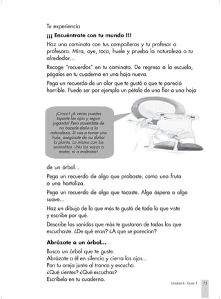 Tu experiencia
                        ¡¡¡ Encuéntrate con tu mundo !!!
                        Haz una caminata con tus compañeros y tu profesor o
                        profesora. Mira, oye, toca, huele y prueba la naturaleza a tu
                        alrededor...
                        Recoge “recuerdos” en tu caminata. De regreso a la escuela,
                        pégalos en tu cuaderno en una hoja nueva.
                        Pega un recuerdo de un olor que te gustó o que te pareció
                        horrible. Puede ser por ejemplo un pétalo de una flor o una hoja



                             ¡Croac! ¡A veces puedes
                              taparte los ojos y seguir
                          jugando! Pero acuérdate de
                                no hacerle daño a la
                         naturaleza. Si vas a tomar una
                          hoja, asegúrate de no dañar
                           la planta. Lo mismo con los
                           animalitos. ¡No los vayas a
                                matar, ni a maltratar!


                        de un árbol...
                        Pega un recuerdo de algo que probaste, como una fruta
                        o una hortaliza.
                        Pega un recuerdo de algo que tocaste. Algo áspero o algo
                        suave...
                        Haz un dibujo de lo que más te gustó de todo lo que viste
                        y escribe por qué.
                        Describe los sonidos que más te gustaron de todos los que
                        escuchaste. ¿De qué eran? ¿A que se parecían?

                        Abrázate a un árbol...
                        Busca un árbol que te guste.
                        Abrázate a él en silencio y cierra los ojos...
                        Pon tu oreja junto al tronco y escucha.
                        ¿Qué sientes? ¿Qué escuchas?
                        Escríbelo en tu cuaderno.
                                                                                  Unidad 6 - Guía 1   75


Sociales2Cartilla2-U6     75                                    3/7/03, 9:56 AM
 