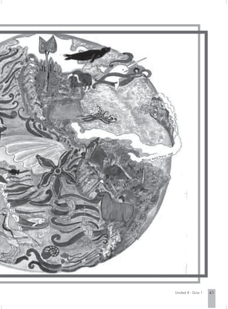 Unidad 8 - Guía 1   41
 