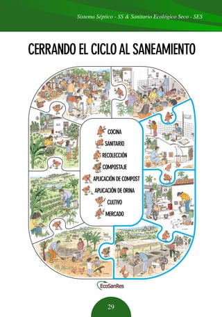 ● ● ● ●
COCINA
SANITARIO
RECOLECCIÓN
COMPOSTAJE
APLICACIÓN DE COMPOST
APLICACIÓN DE ORINA
CULTIVO
MERCADO
●●●●●●●●
●●●●●●●●
CERRANDO EL CICLOAL SANEAMIENTO
www.ecosanres.org
Sistema Séptico - SS & Sanitario Ecológico Seco - SES
29
 