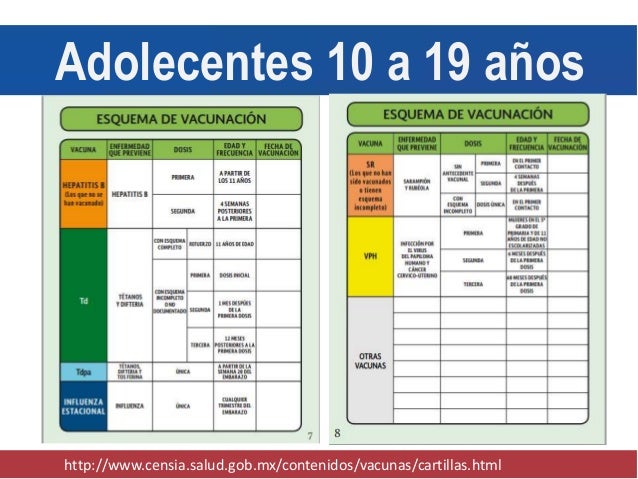 Diabetes Tipo 1 Diabetes Tipo 1