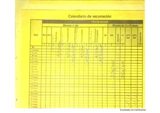 cartilla vacunacion.docx