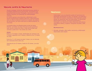 Neumococo
Enfermedad que se presenta cuando el neumococo ha
alcanzado previamente la nariz y la faringe y se extiende a
otros sitios del sistema respiratorio. Este organismo puede
causar los siguientes tipos de enfermedad: a) infecciones
diseminadas invasivas, incluyendo bacteriemia y
meningitis; y b) neumonía y otras infecciones del sistema
respiratorio inferior y superior, incluyendo sinusitis y otitis
media.
Manifestaciones:
Sinusitis, faringitis, otitis media, neumonía y enfermedad
diseminada como sepsis.
Vacuna contra la Neumonía
Vacuna contra la Neumonía
Ayuda a proteger contra las infecciones severas debido a
la bacteria Streptococcus pneumoniae, una bacteria que
frecuentemente produce meningitis y neumonía en niños,
adultos mayores y en personas con enfermedades
crónicas.
La vacuna genera una protección y efectividad contra
futuras exposiciones al agente infeccioso. Adicionalmente
tiene un efecto protector al disminuir el estado de portador
de neumococo, por tanto evita que se infecte población no
vacunada.
La Alcaldía Mayor de Bogotá desde el plan de Salud
Distrital, suministró recursos financieros para garantizar
esta vacuna a todos los niños y niñas de la ciudad que
nacieran a partir del 1º de octubre de 2.008.
EDAD:
Entre 2 y 10 meses: 3 dosis, distribuidas así: primera a los
2 meses, segunda a los 4 meses y refuerzo a los 12 meses
de edad.
Entre los 11 y 22 meses de edad: 2 dosis, con un intervalo
de 8 semanas entre cada una.
Después de los 23 meses y hasta los 35 meses, una sola
dosis.
16 17
 