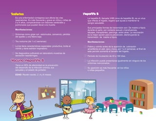 Tosferina
Es una enfermedad contagiosa que afecta las vías
respiratorias. Es más frecuente y grave en niños y niñas de
0 a 4 años, complicándose con lesiones cerebrales y
pulmonares que pueden llevar a la muerte.
Manifestaciones:
Síntomas como gripe con estornudos, cansancio, pérdida
del apetito y una fiebre baja.
Tos nocturna (de 1 a 2 semanas)
La tos tiene características especiales: productiva, incita al
vómito y tiene estridor inspiratorio.
Se diagnostica cultivando en laboratorio muestras de
secreción nasofaríngea.
Vacuna Hepatitis B
Vacuna Hepatitis B
Tiene un 95% de efectividad en la prevención
del desarrollo de la infección crónica, sus
secuelas y el estado de portador.
EDAD: Recién nacido, 2 ,4 y 6 meses.
Hepatitis B
La hepatitis B, llamada VHB (virus de hepatitis B), es un virus
que infecta al hígado, órgano que ayuda a mantener la
sangre saludable.
Sus principales formas de transmisión son: De madre a hijo/a
durante el parto, por contacto sexual y transfusiones,
tatuajes, transplantes, piercings, entre otras. La vacunación
es la mejor opción para la prevención, disminuyendo la
transmisión de madre a hijo/a.
Manifestaciones:
Fiebre y vómito antes de la aparición de coloración
amarillenta en piel, ojos y boca, por 1 a 2 semanas, al final de
este período aumenta el tamaño del hígado.
Período de incubación de 45 a 160 días.
La infección puede presentarse igualmente sin ninguno de los
síntomas mencionados.
Su aparición es más frecuente en los niños
o niñas pequeños.
12 13
 