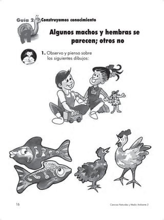 Guía 2   Construyamos conocimiento

             Algunos machos y hembras se
     A             parecen; otros no
         1. Observo y pienso sobre
            los siguientes dibujos:




16                                    Ciencias Naturales y Medio Ambiente 2
 