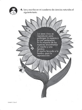 4. Leo y escribo en mi cuaderno de ciencias naturales el
                       siguiente texto:




                                     Los seres vivos se
                                     reproducen para
                                     prolongar la especie a
                                     la cual pertenecen.
                                     En la mayoría de las
                                     especies encontramos
                                     un macho y una
                                     hembra.
                                     El macho fecunda a la
                                     hembra para la
                                     reproducción.




Unidad 3 - Guía 2                                                         19
 