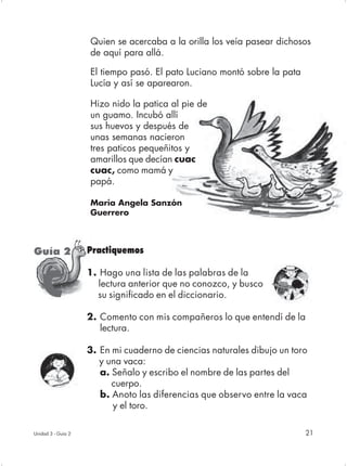 Quien se acercaba a la orilla los veía pasear dichosos
                    de aquí para allá.

                    El tiempo pasó. El pato Luciano montó sobre la pata
                    Lucía y así se aparearon.

                    Hizo nido la patica al pie de
                    un guamo. Incubó allí
                    sus huevos y después de
                    unas semanas nacieron
                    tres paticos pequeñitos y
                    amarillos que decían cuac
                    cuac, como mamá y
                    papá.

                    María Angela Sanzón
                    Guerrero



Guía 2              Practiquemos

                    1. Hago una lista de las palabras de la

    C                  lectura anterior que no conozco, y busco
                      su significado en el diccionario.

                    2. Comento con mis compañeros lo que entendí de la
                       lectura.

                    3. En mi cuaderno de ciencias naturales dibujo un toro
                       y una vaca:
                       a. Señalo y escribo el nombre de las partes del
                          cuerpo.
                       b. Anoto las diferencias que observo entre la vaca
                          y el toro.

Unidad 3 - Guía 2                                                         21
 