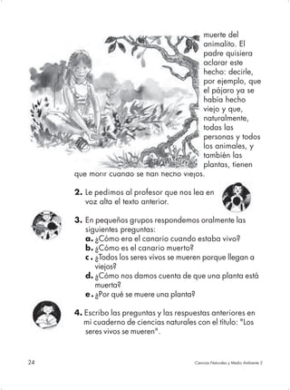 muerte del
                                         animalito. El
                                         padre quisiera
                                         aclarar este
                                         hecho: decirle,
                                         por ejemplo, que
                                         el pájaro ya se
                                         había hecho
                                         viejo y que,
                                         naturalmente,
                                         todas las
                                         personas y todos
                                         los animales, y
                                         también las
                                         plantas, tienen
     que morir cuando se han hecho viejos.

     2. Le pedimos al profesor que nos lea en
        voz alta el texto anterior.

     3. En pequeños grupos respondemos oralmente las
        siguientes preguntas:
        a. ¿Cómo era el canario cuando estaba vivo?
        b. ¿Cómo es el canario muerto?
        c . ¿Todos los seres vivos se mueren porque llegan a
            viejos?
        d. ¿Cómo nos damos cuenta de que una planta está
            muerta?
        e . ¿Por qué se muere una planta?

     4. Escribo las preguntas y las respuestas anteriores en
        mi cuaderno de ciencias naturales con el título: "Los
        seres vivos se mueren".


24                                        Ciencias Naturales y Medio Ambiente 2
 