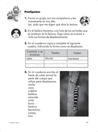 Guía 1             Practiquemos


     C              1. Formo un grupo con mis compañeros y leo
                       nuevamente en voz alta.
                       Les pido que me digan qué dice la lectura.

                    2. En el tablero hacemos una lista de los animales que
                       se nombran en la lectura. Digo cómo se mueven e
                       imito sus formas de desplazamiento.

                    3. En mi cuaderno copio y completo el siguiente
                      cuadro, indicando la forma como se desplazan.
                      Caminan o se
                                         Nadan                Vuelan
                        arrastran
                     ratón         tiburón               mariposa

                             No es cribas aquí
                    4. En mi cuaderno escribo al
                       frente de cada animal la
                       parte del cuerpo que
                       utiliza para desplazarse.
                       araña
                       vaca
                       culebra
                       ballena
                       zancudo
                       mirla
                       burro
                       lombriz
                       bocachico
                       conejo
                       loro

Unidad 4 - Guía 1                                                        41
 