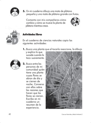 5. En mi cuaderno dibujo una mata de plátano
             pequeña y una mata de plátano grande con frutos.

            Comento con mis compañeros cómo
            cambia y cómo se mueve la planta de
            plátano mientras crece.


 Guía 1   Actividades libres


     D    En el cuaderno de ciencias naturales copio las
          siguientes actividades:

          1. Busco una planta que al tocarla reaccione, la dibujo
             y explico lo que
             sucede cuando la
             toco suavemente.

          2. Busco entre las
             personas de mi
             comunidad quién
             tiene una planta
             cuyas flores se
             abran de día y
             se cierren de
             noche. Converso
             con ellos sobre
             las razones que
             hacen que las
             flores se cierren.
             Escribo en mi
             cuaderno un
             resumen de la
             experiencia.

42                                            Ciencias Naturales y Medio Ambiente 2
 