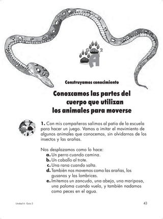 Guía 2

                                           A
                                Construyamos conocimiento

                         Conozcamos las partes del
                              cuerpo que utilizan
                         los animales para moverse
                    1. Con mis compañeros salimos al patio de la escuela
                    para hacer un juego. Vamos a imitar el movimiento de
                    algunos animales que conocemos, sin olvidarnos de los
                    insectos y las arañas.

                    Nos desplazamos como lo hace:
                      a. Un perro cuando camina.
                      b. Un caballo al trote.
                      c. Una rana cuando salta.
                      d. También nos movemos como las arañas, los
                         gusanos y las lombrices.
                      e. Imitemos un zancudo, una abeja, una mariposa,
                         una paloma cuando vuela, y también nadamos
                         como peces en el agua.

Unidad 4 - Guía 2                                                      43
 