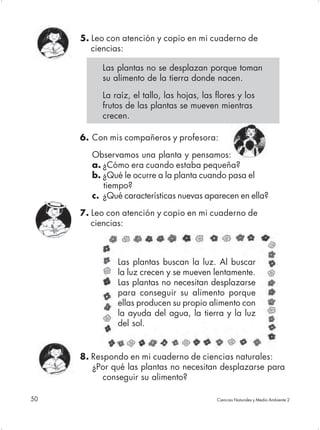 5. Leo con atención y copio en mi cuaderno de
        ciencias:

          Las plantas no se desplazan porque toman
          su alimento de la tierra donde nacen.

          La raíz, el tallo, las hojas, las flores y los
          frutos de las plantas se mueven mientras
          crecen.

     6. Con mis compañeros y profesora:

        Observamos una planta y pensamos:
        a. ¿Cómo era cuando estaba pequeña?
        b. ¿Qué le ocurre a la planta cuando pasa el
           tiempo?
        c. ¿Qué características nuevas aparecen en ella?

     7. Leo con atención y copio en mi cuaderno de
        ciencias:



               Las plantas buscan la luz. Al buscar
               la luz crecen y se mueven lentamente.
               Las plantas no necesitan desplazarse
               para conseguir su alimento porque
               ellas producen su propio alimento con
               la ayuda del agua, la tierra y la luz
               del sol.


     8. Respondo en mi cuaderno de ciencias naturales:
        ¿Por qué las plantas no necesitan desplazarse para
           conseguir su alimento?

50                                          Ciencias Naturales y Medio Ambiente 2
 