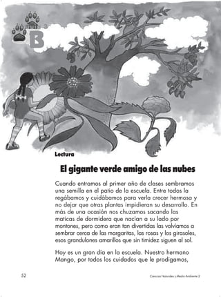 Guía 3

     B




          Lectura

            El gigante verde amigo de las nubes
          Cuando entramos al primer año de clases sembramos
          una semilla en el patio de la escuela. Entre todos la
          regábamos y cuidábamos para verla crecer hermosa y
          no dejar que otras plantas impidieran su desarrollo. En
          más de una ocasión nos chuzamos sacando las
          maticas de dormidera que nacían a su lado por
          montones, pero como eran tan divertidas las volvíamos a
          sembrar cerca de las margaritas, las rosas y los girasoles,
          esos grandulones amarillos que sin timidez siguen al sol.

          Hoy es un gran día en la escuela. Nuestro hermano
          Mango, por todos los cuidados que le prodigamos,

52                                               Ciencias Naturales y Medio Ambiente 2
 
