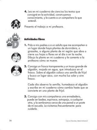 4. Leo en mi cuaderno de ciencias los textos que
           consigné en la actividad, construyamos
           conocimiento, y le cuento a un compañero lo que
            entendí.

         Presento el trabajo a mi profesora.



Guía 3   Actividades libres

     D   1. Pido a mis padres o a un adulto que me acompañen a
            un lugar donde haya plantas de dormidera, o
            girasoles, o alguna planta de mi región que abra o
            cierre sus hojas o flores en el día o en la noche.
            Dibujo la planta en mi cuaderno y le comento a la
            profesora cómo se mueve.

         2. Consigo un frasco transparente y un trozo grande de
            algodón, mojado en agua, que introduzco en el
            frasco. Sobre el algodón coloco una semilla de fríjol
            y busco un lugar seco, con mucha luz solar y aire
            fresco.

            Cada día observo la semilla, humedezco el algodón
            y escribo en mi cuaderno cómo cambia hasta que se
            convierte en una planta de fríjol.

         3. Consigo con mis compañeros una enredadera,
           puede ser badea, espinaca, estropajo, o cualquier
            otra, y la sembramos cerca de una pared o un poste
            de mi escuela. La visitamos frecuentemente para
            cuidarla.



54                                             Ciencias Naturales y Medio Ambiente 2
 