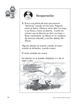 Guía


     3                         Recuperación

            1. Busco una planta de esas que parecen
               "dormirse" cuando uno las toca. Pregunto
               cómo se llama. Observo cómo abre sus hojas
               o sus flores y cómo se duerme. Cuento los
               minutos que se demora en abrir sus hojas o
               flores nuevamente. La dibujo en mi cuaderno
               de ciencias naturales y escribo debajo del
               dibujo:

            Algunas plantas se mueven cuando se tocan
            cuando se alimentan, cuando crecen.

            El viento también las mueve.

            Las plantas no se pueden desplazar o ir de un
            lugar a otro.
             Si esta unidad caminara
             pues de moverse se trata
             se movería seguro,
             y lo haría en cuatro patas.




56                                           Ciencias Naturales y Medio Ambiente 2
 