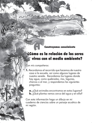 Guía 2



       A        Construyamos conocimiento

 ¿Cómo es la relación de los seres
   vivos con el medio ambiente?
Con mis compañeros:
1. Recordamos el recorrido que hacemos de nuestra
   casa a la escuela, así como algunos lugares de
   nuestra vereda. Recordamos los lugares donde
   hay agua, como quebradas, ríos, lagunas,
   charcos o el mar, y respondemos las siguientes
   preguntas:

   a. ¿Qué animales encontramos en estos lugares?
   b. ¿Qué plantas vemos cerca del agua y en ella?

Con esta información hago un dibujo en mi
cuaderno de ciencias sobre un paisaje acuático de
mi región.


                                                    69
 