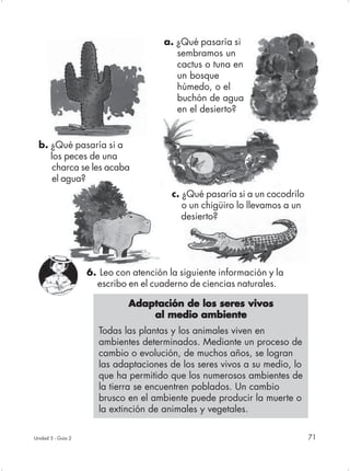 a. ¿Qué pasaría si
                                          sembramos un
                                          cactus o tuna en
                                          un bosque
                                          húmedo, o el
                                          buchón de agua
                                          en el desierto?


  b. ¿Qué pasaría si a
     los peces de una
      charca se les acaba
      el agua?
                                         c. ¿Qué pasaría si a un cocodrilo
                                            o un chigüiro lo llevamos a un
                                            desierto?




                    6. Leo con atención la siguiente información y la
                      escribo en el cuaderno de ciencias naturales.

                              Adaptación de los seres vivos
                                  al medio ambiente
                      Todas las plantas y los animales viven en
                      ambientes determinados. Mediante un proceso de
                      cambio o evolución, de muchos años, se logran
                      las adaptaciones de los seres vivos a su medio, lo
                      que ha permitido que los numerosos ambientes de
                      la tierra se encuentren poblados. Un cambio
                      brusco en el ambiente puede producir la muerte o
                      la extinción de animales y vegetales.

Unidad 5 - Guía 2                                                            71
 