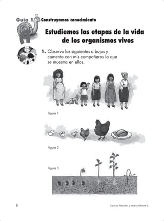 Guía 1   Construyamos conocimiento

          Estudiemos las etapas de la vida
    A          de los organismos vivos
         1. Observo los siguientes dibujos y
            comento con mis compañeros lo que
            se muestra en ellos.




            figura 1




            figura 2




            figura 3




8                                        Ciencias Naturales y Medio Ambiente 2
 