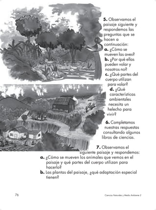 5. Observamos el
                                       paisaje siguiente y
                                       respondemos las
                                       preguntas que se
                                       hacen a
                                       continuación:
                                        a. ¿Cómo se
                                        mueven las aves?
                                        b. ¿Por qué ellas
                                        pueden volar y
                                        nosotros no?
                                        c. ¿Qué partes del
                                        cuerpo utilizan
                                         para volar?
                                           d. ¿Qué
                                           características
                                           ambientales
                                          necesita un
                                         helecho para
                                         vivir?
                                         6. Completamos
                                        nuestras respuestas
                                       consultando algunos
                                      libros de ciencias.

                                     7. Observamos el
                           siguiente paisaje y respondemos:
     a. ¿Cómo se mueven los animales que vemos en el
        paisaje y qué partes del cuerpo utilizan para
        hacerlo?
     b. Las plantas del paisaje, ¿qué adaptación especial
        tienen?



76                                      Ciencias Naturales y Medio Ambiente 2
 