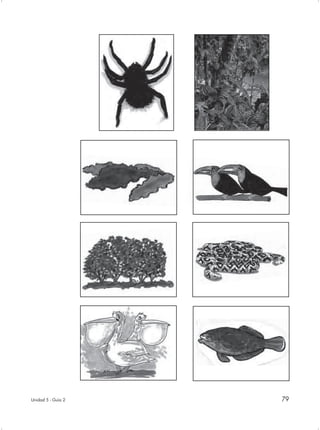 Unidad 5 - Guía 2   79
 